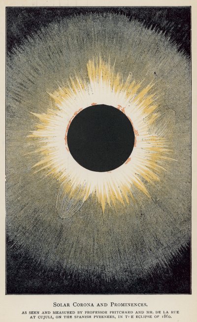 Solar Corona and Prominences ، كما يراها ويقاسها البروفيسور بريتشارد والسيد دي لا رو ... (لون ليثو) بواسطة مدرسة اللغة الإنجليزية