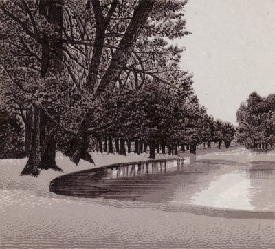 Sophia Gardens, Cardiff (litho) بواسطة مدرسة اللغة الإنجليزية