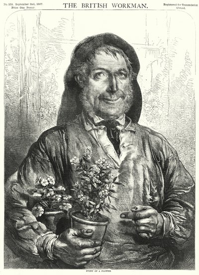Story of a Flower (engraving) بواسطة مدرسة اللغة الإنجليزية
