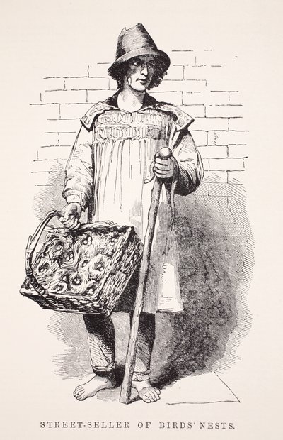 بائع أعشاش الطيور في الشارع ، رسم توضيحي من London Labour و London Poor بقلم Henry Mayhew ، حانة. 1862 بواسطة مدرسة اللغة الإنجليزية