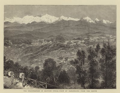 Tea Cultivation in British India, View of Darjeeling from the South (engraving) بواسطة مدرسة اللغة الإنجليزية
