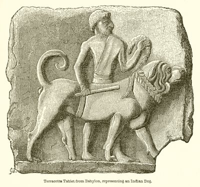 قرص Terracotta من بابل ، يمثل كلبًا هنديًا بواسطة مدرسة اللغة الإنجليزية