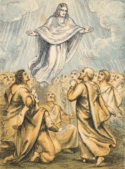 The Ascension (coloured engraving) بواسطة مدرسة اللغة الإنجليزية