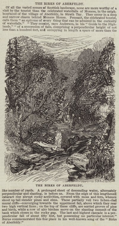 The Birks of Aberfeldy (engraving) بواسطة مدرسة اللغة الإنجليزية