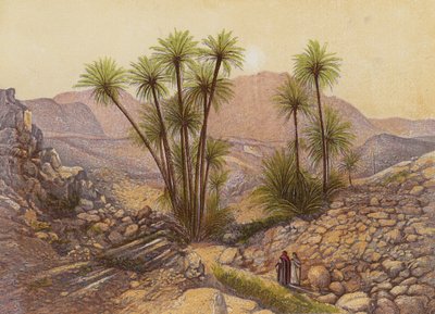 صحراء سيناء (طباعة حجرية ملونة) بواسطة مدرسة اللغة الإنجليزية
