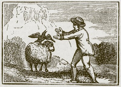 النسر والغراب (نقش) بواسطة مدرسة اللغة الإنجليزية