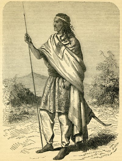 الإمبراطور ثيودور الثاني (1818-1868) (نقش) بواسطة مدرسة اللغة الإنجليزية