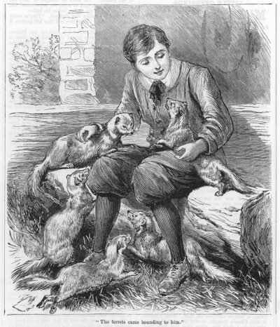 "جاءته القوارض تهرول إليه" (نقش) بواسطة مدرسة اللغة الإنجليزية