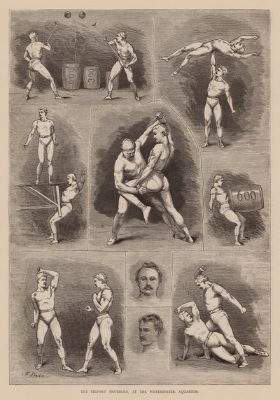 الأخوان جلفورت، في حوض ويستمنستر للأحياء المائية (نقش) بواسطة مدرسة اللغة الإنجليزية