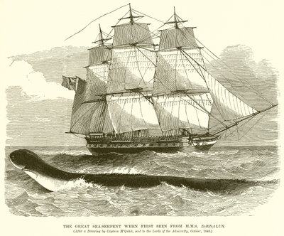 ثعبان البحر العظيم عندما شوهد لأول مرة من HMS Daedalus بواسطة مدرسة اللغة الإنجليزية