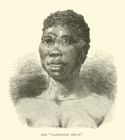 Hottentot Venus بواسطة مدرسة اللغة الإنجليزية