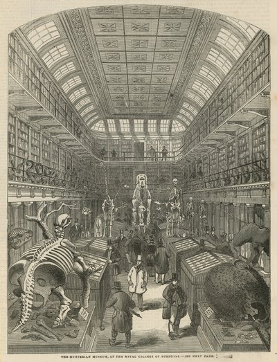 متحف Hunterian في الكلية الملكية للجراحين بواسطة مدرسة اللغة الإنجليزية