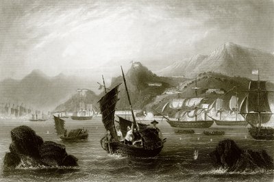 جزيرة أموي ، من `` Payne&39;s Universum &39;&39; ، 1847 بواسطة مدرسة اللغة الإنجليزية