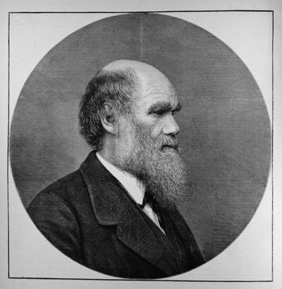 الراحل السيد CR Darwin ، FRS ، LLD ، من أخبار لندن المصورة ، 29 أبريل 1882 بواسطة مدرسة اللغة الإنجليزية