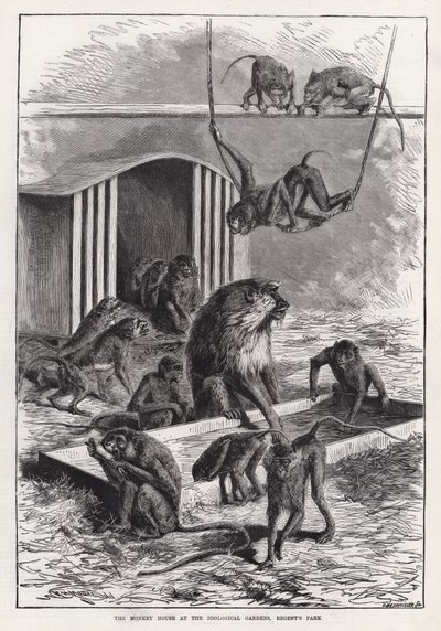 The Monkey House at the Zoological Gardens، Regent