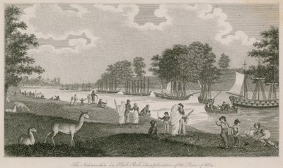 ال Naumachia في هايد بارك احتفالًا بسلام عام 1814 بواسطة مدرسة اللغة الإنجليزية