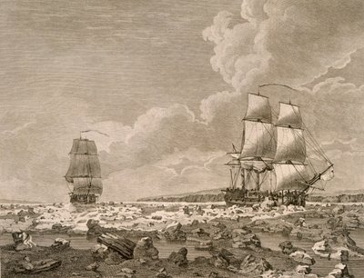 دفع السباق والذبيحة عبر الجليد ، 10 أغسطس 1773 ، من رحلة نحو القطب الشمالي التي قامت بها جلالة الملك 1773 ، نشرت لندن 1774 بواسطة مدرسة اللغة الإنجليزية
