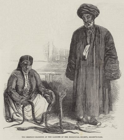The Serpent-Charmers at the Gardens of the Zoological Society، Regent's-Park (نقش) بواسطة مدرسة اللغة الإنجليزية