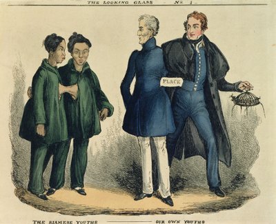 شباب سيامي - شبابنا ، كارتون ساخر من The Looking Glass ، c.1829 (النقش الملون) بواسطة مدرسة اللغة الإنجليزية