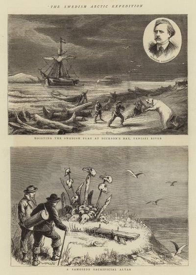 The Swedish Arctic Expedition (engraving) بواسطة مدرسة اللغة الإنجليزية