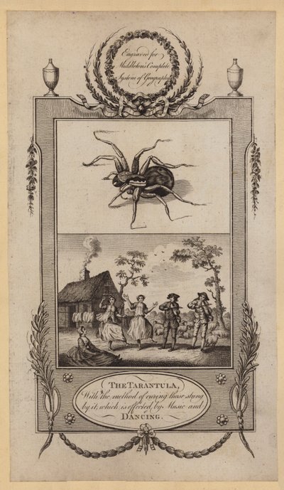 The Tarantula, with the method of curing those stung by it, which is effected by Music and Dancing (engraving) بواسطة مدرسة اللغة الإنجليزية