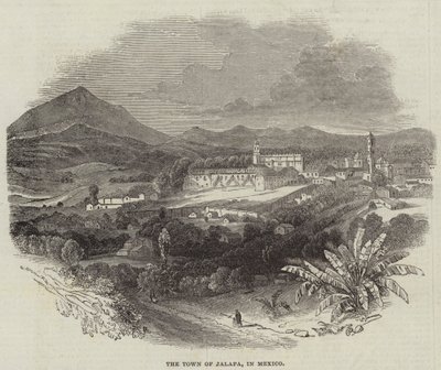 The Town of Jalapa, in Mexico (engraving) بواسطة مدرسة اللغة الإنجليزية