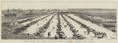 The War in the Soudan, the Camel Depot at Suez (engraving) بواسطة مدرسة اللغة الإنجليزية