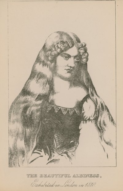 البياض الجميل الذي عرض في لندن عام 1810 بواسطة مدرسة اللغة الإنجليزية