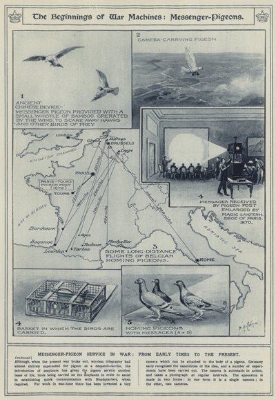 بدايات آلات الحرب ، الحمام-الرسول ، خدمة الحمام-الرسول في الحرب ، من العصور المبكرة حتى الوقت الحاضر بواسطة مدرسة اللغة الإنجليزية
