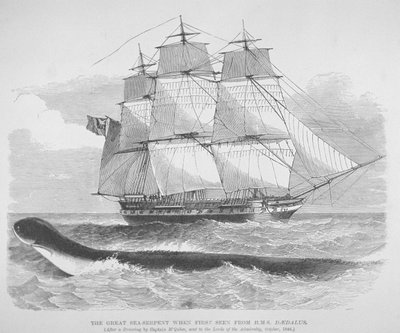 ثعبان البحر العظيم عندما شوهد لأول مرة من HMS Daedalus في عام 1848 ، حوالي 1848 (نقش) بواسطة مدرسة اللغة الإنجليزية