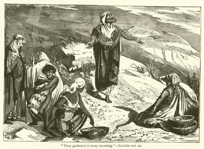 "جمعوها كل صباح" ، سفر الخروج ، السادس عشر ، 21 (نقش) بواسطة مدرسة اللغة الإنجليزية