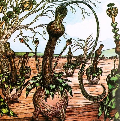 Triffids بواسطة مدرسة اللغة الإنجليزية