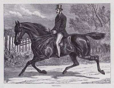 Trotting (engraving) بواسطة مدرسة اللغة الإنجليزية