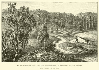 Tumuli أو Mound Graves (Hugelgraber) في ستانيسلاو في شرق غاليسيا بواسطة مدرسة اللغة الإنجليزية