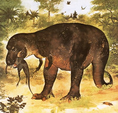 الديناصور يأكل Struthiomimus بواسطة مدرسة اللغة الإنجليزية