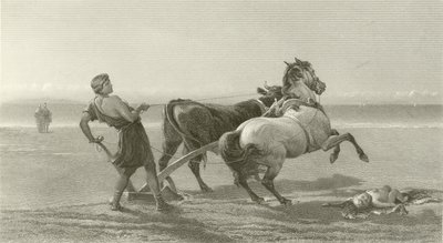 أوليس يحرث شاطئ البحر (الحفر) بواسطة مدرسة اللغة الإنجليزية