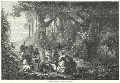 الأمازون العليا - الهنود يتناولون الطعام (نقش) بواسطة مدرسة اللغة الإنجليزية