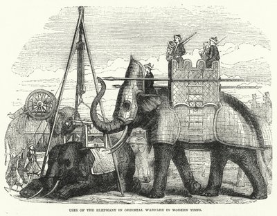 استخدامات الفيل في الحروب الشرقية في العصر الحديث (نقش) بواسطة مدرسة اللغة الإنجليزية