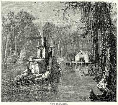 عرض في فلوريدا (نقش) بواسطة مدرسة اللغة الإنجليزية