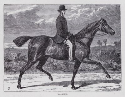 Walking (engraving) بواسطة مدرسة اللغة الإنجليزية