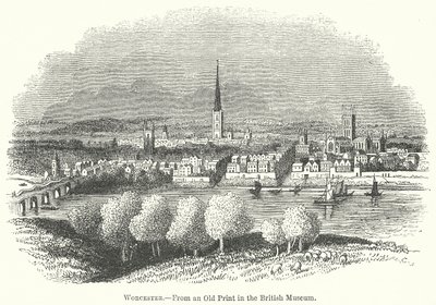 ووستر (نقش) بواسطة مدرسة اللغة الإنجليزية