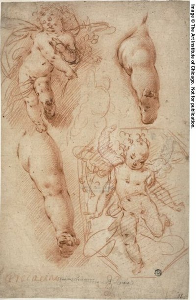 رسومات تخطيطية لبوتي، أرجل بواسطة إركول بروكاتشيني الأصغر