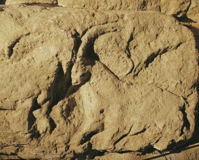  بواسطة إريك ليسينج