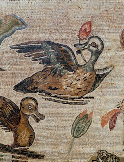  بواسطة إريك ليسينج