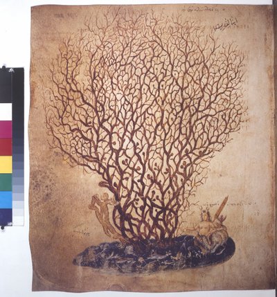  بواسطة إريك ليسينج