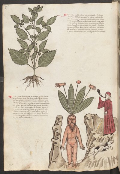  بواسطة إريك ليسينج