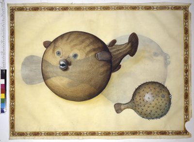  بواسطة إريك ليسينج