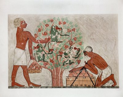  بواسطة إريك ليسينج