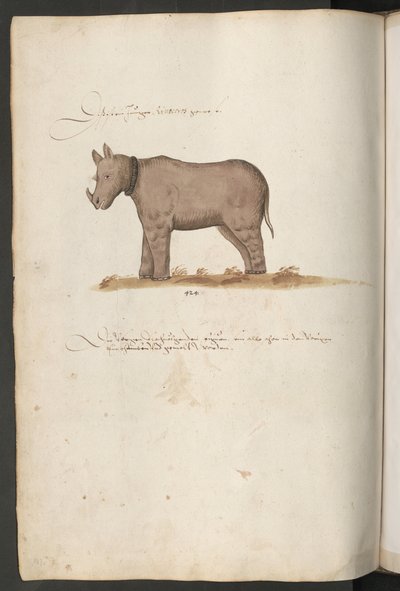  بواسطة إريك ليسينج