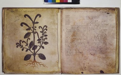  بواسطة إريك ليسينج